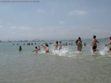 My Gallery (21/205)